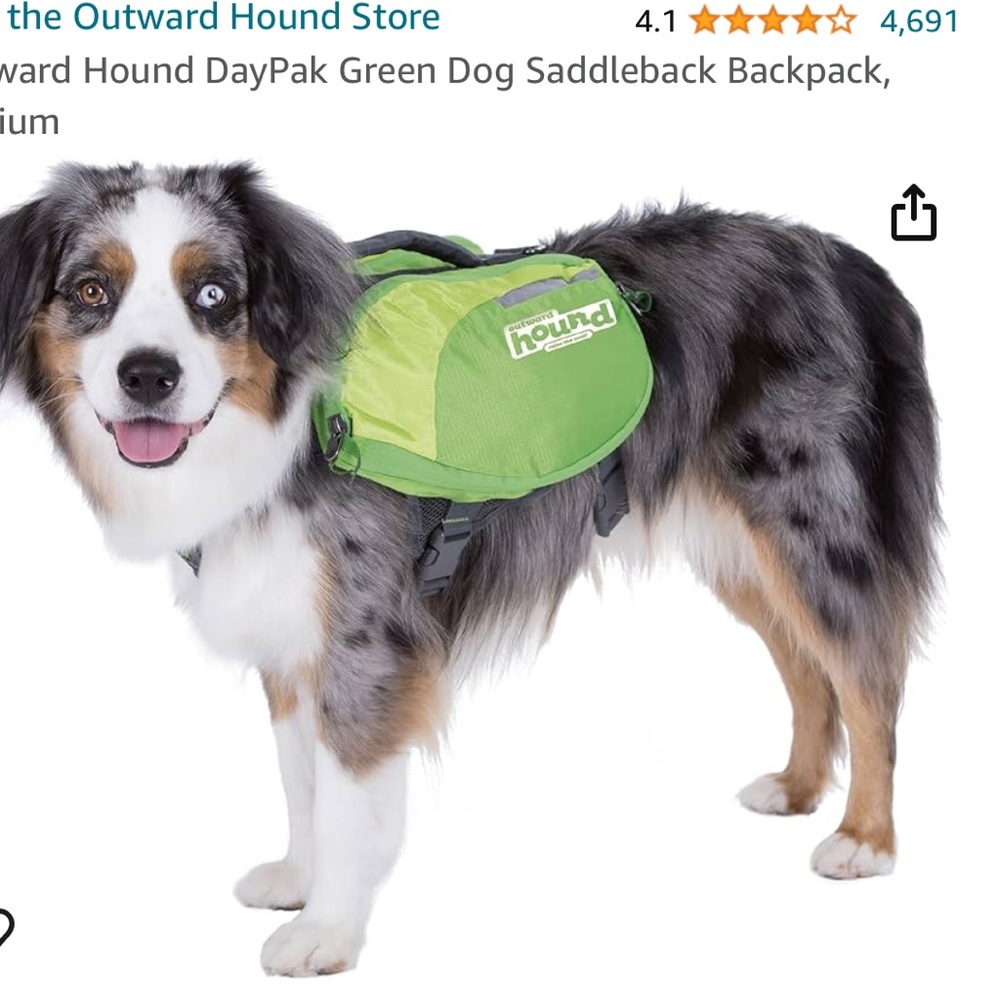 Outward Hound Daypak